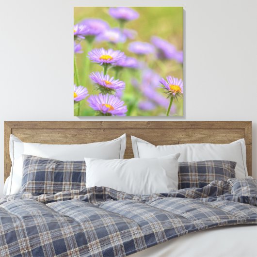 Seaside Daisies Canvas Afdruk (Insitu (Slaapkamer))