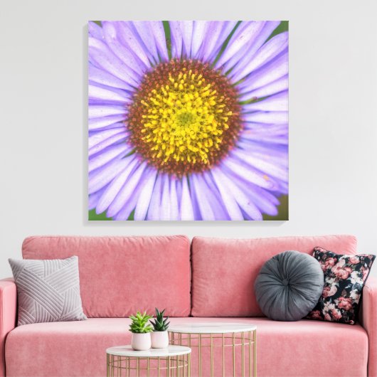 Seaside Daisy Canvas Afdruk (Insitu (Woonkamer))
