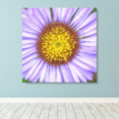Seaside Daisy Canvas Afdruk (Insitu (Houten vloer))