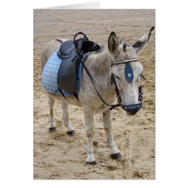 Seaside Donkey (Voorkant)