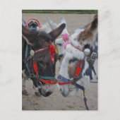 Seaside Donkeys Post Card Briefkaart (Voorkant)