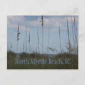 Seaside Dreams - North Myrtle Beach, SC Briefkaart (Voorkant)