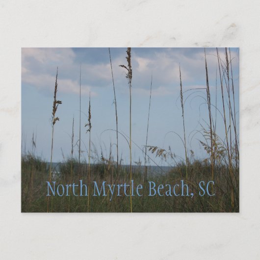 Seaside Dreams - North Myrtle Beach, SC Briefkaart (Voorkant)
