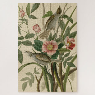 Seaside Finch (Sparrow) Audubon's Birds of America Legpuzzel