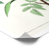 Seaside Finch van Audubon Poster (Hoek)