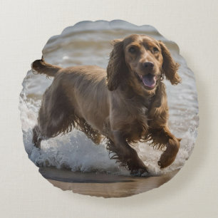 Seaside Fun: Een Cocker Spaniel Spelen in de Oceaa Rond Kussen