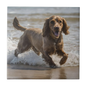 Seaside Fun: Een Cocker Spaniel Spelen in de Oceaa Tegeltje