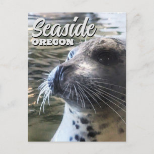 Seaside, Oregon Baby Zeal Zeerover Briefkaart