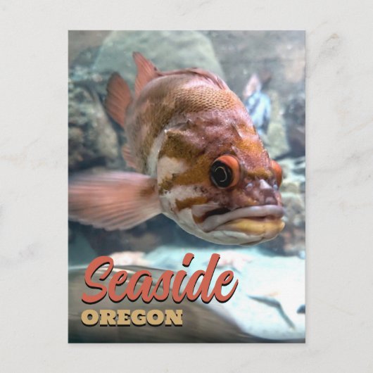 Seaside, Oregon Rockfish Briefkaart (Voorkant)