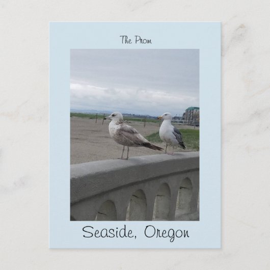Seaside Oregon Two Gulls on the Beach Prom Briefkaart (Voorkant)