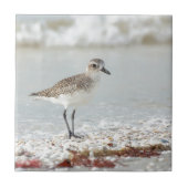 Seaside Plover Tegeltje (Voorkant)