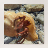Seaside Rocks met Hermit Crab Legpuzzel (Verticaal)