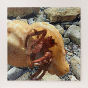 Seaside Rocks met Hermit Crab Legpuzzel