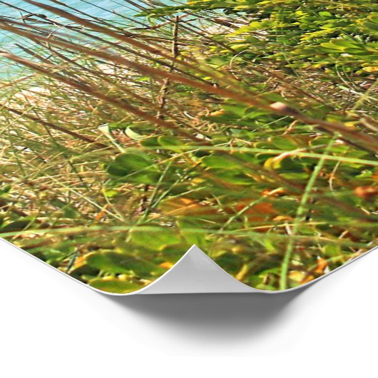 Seaside Sanibel Poster (Hoek)