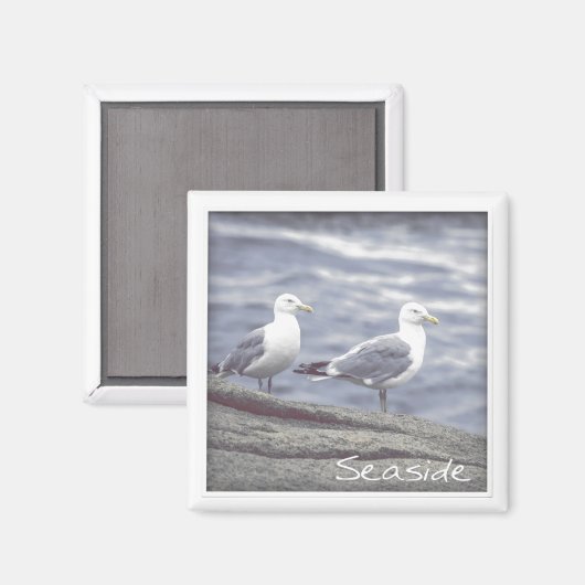 Seaside Seagulls Magnet (Voorkant / Achterkant)