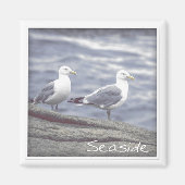 Seaside Seagulls Magnet (Voorkant)