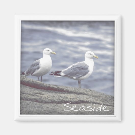 Seaside Seagulls Magnet (Voorkant)