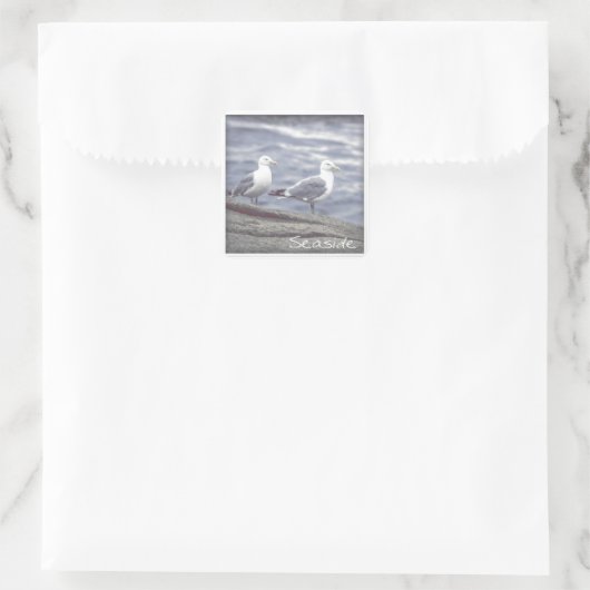 Seaside Seagulls Sticker (Tas)