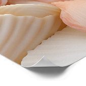 Seaside Seashells Art Poster (Hoek)