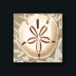 Seaside Sonnet III Canvas Afdruk<br><div class="desc">Mariene Leven</div>