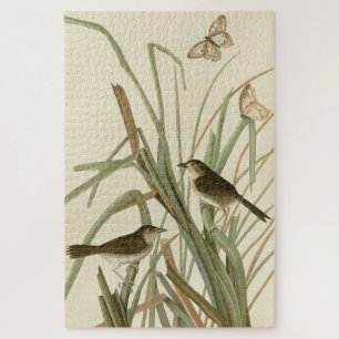 Seaside Sparrow (Finch) Audubon's Birds of America Legpuzzel