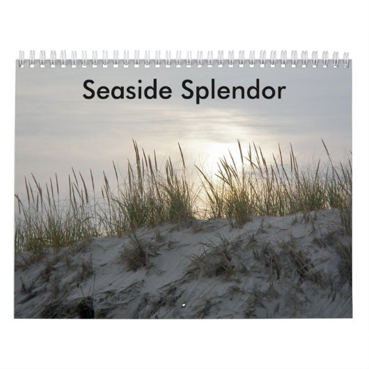 Seaside Splendor Kalender (Hoes)