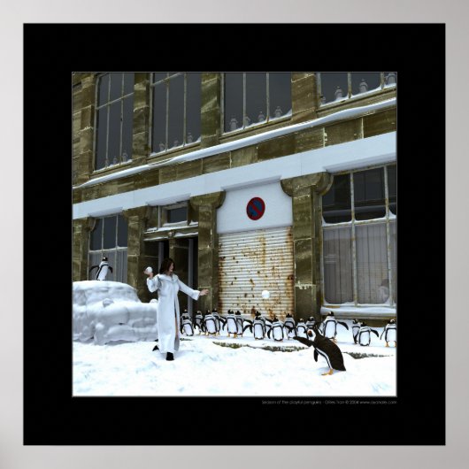 Season of the playful penguins poster (Voorkant)