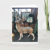 ***SEASON OM JOLLY** TE ZIJN EN U TE DENKEN FEESTDAGEN KAART (Voorkant)