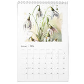 Seasonal Watercolor Flowers & Insects – 2026 Kalender (Jan 2026)