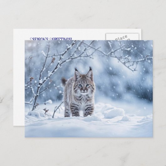 Seasons Greeting Holiday Bobcat Snow Feestdagenkaart (Voorkant / Achterkant)