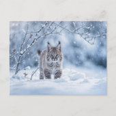 Seasons Greeting Holiday Bobcat Snow Feestdagenkaart (Voorkant)