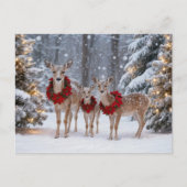 Seasons Greeting Holiday Deer Wreaths Feestdagenkaart (Voorkant)