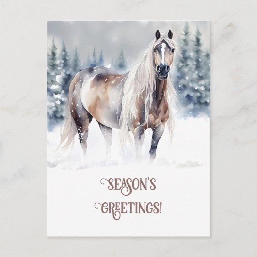 Seasons Greeting Horse in the Snow Feestdagenkaart (Voorkant)