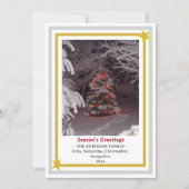 Season's Greetings Christmas Tree INSERT PHOTO  Feestdagenkaart (Voorkant)
