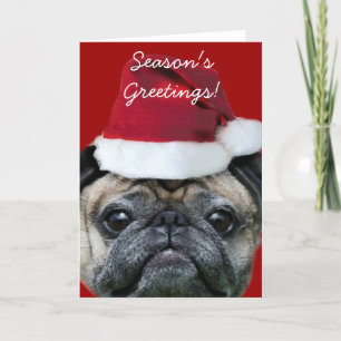Season's Greetings Pug wenskaart Feestdagen Kaart