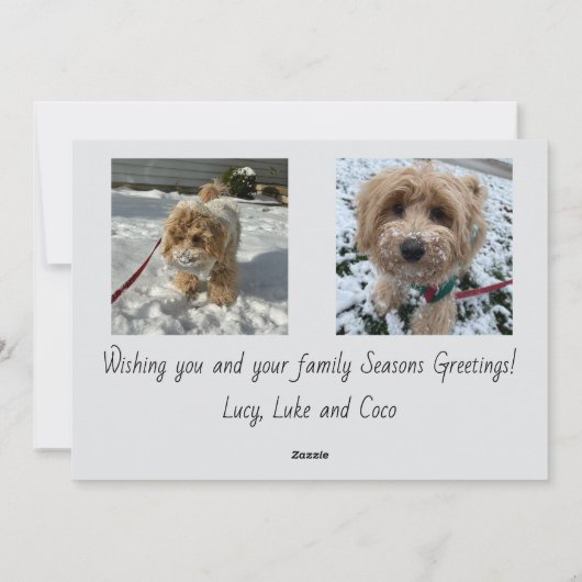 Seasons Greetings Script Photo Card Feestdagenkaart (Achterkant)