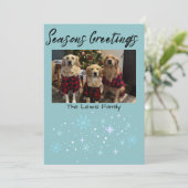 Seasons Greetings Snowflake Photo Card Feestdagenkaart (Staand voorkant)