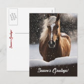 Season's Groeten Paard en Sneeuw Feestdagenkaart (Voorkant / Achterkant)