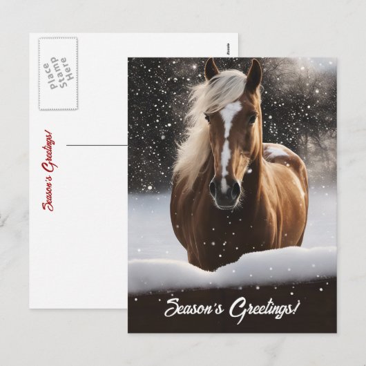 Season's Groeten Paard en Sneeuw Feestdagenkaart (Voorkant / Achterkant)