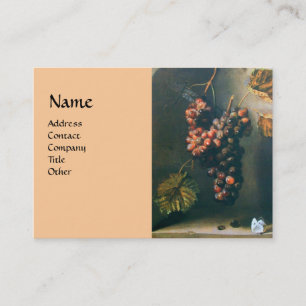 SEASON'S VRUCHTEN - PROSPERITEITSGEGEVENS, groen r Visitekaartje