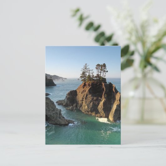 Seastack, Samuel Boardman State Park, Brookings Briefkaart (Staand voorkant)