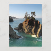 Seastack, Samuel Boardman State Park, Brookings Briefkaart (Voorkant)