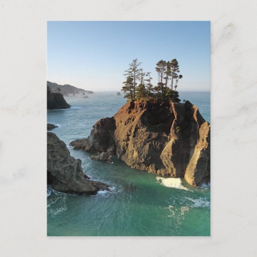 Seastack, Samuel Boardman State Park, Brookings Briefkaart (Voorkant)