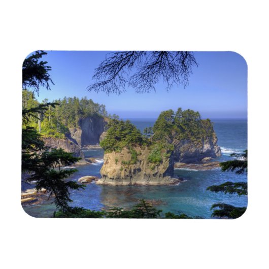 Seastacks, Makah Nation Tribal Lands, Cape Magneet (Horizontaal)