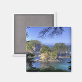 Seastacks, Makah Nation Tribal Lands, Cape Magneet (Voorkant / Achterkant)