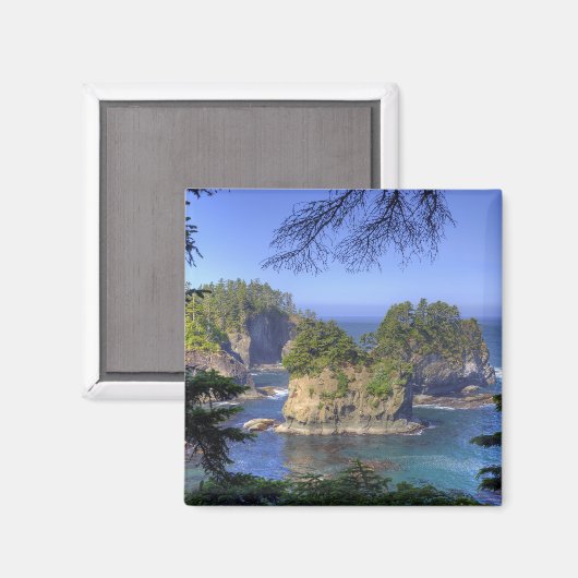 Seastacks, Makah Nation Tribal Lands, Cape Magneet (Voorkant / Achterkant)