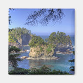 Seastacks, Makah Nation Tribal Lands, Cape Magneet (Voorkant)