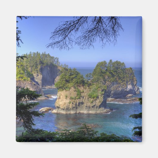 Seastacks, Makah Nation Tribal Lands, Cape Magneet (Voorkant)