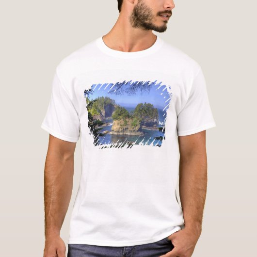 Seastacks, Makah Nation Tribal Lands, Cape T-shirt (Voorkant)