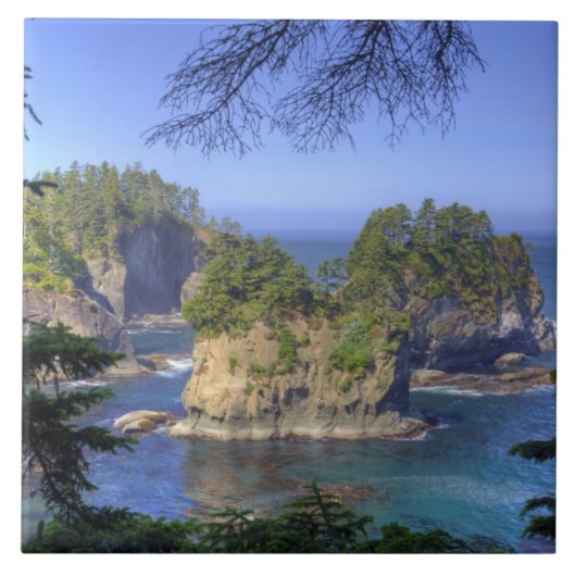 Seastacks, Makah Nation Tribal Lands, Cape Tegeltje (Voorkant)